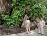 ตรวจติดตามการดูแลปรับปรุงแหล่งท่องเที่ยวเกาะนางโดย