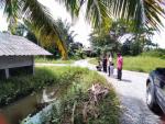 จัดทำแผนให้ชลประทานจัดสรรงบประมาณในการฝั่งท่อระบายน้ำ